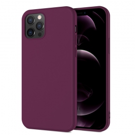 Apple iPhone 12 Pro Max custodia 