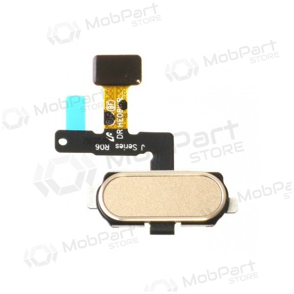 Samsung J530F Galaxy J5 (2017) / J730F Galaxy J7 (2017) HOME connettore pulsante (d'oro)