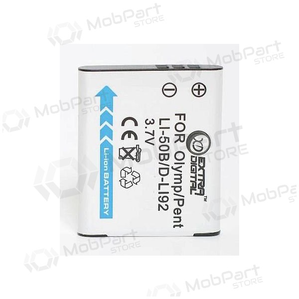 Panasonic VW-VBX090 foto batteria / accumulatore