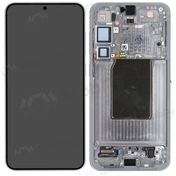 Schermo Samsung Galaxy S25+ (argento) (con cornice) (assembled service pack)